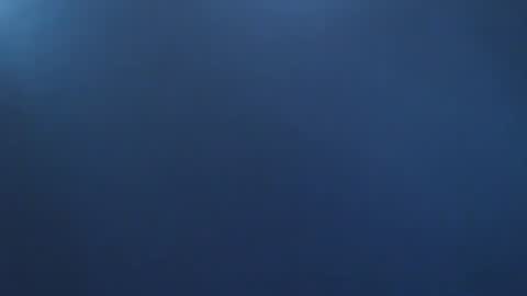 davdao3 online show from November 2, 2025, 9:11 am