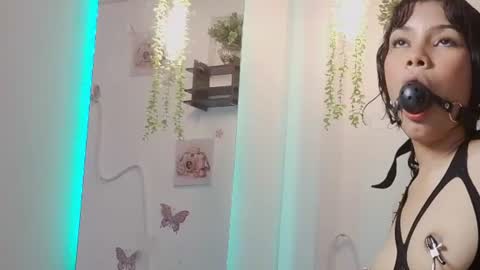 Davi online show from June 11, 2026, 2:53 am