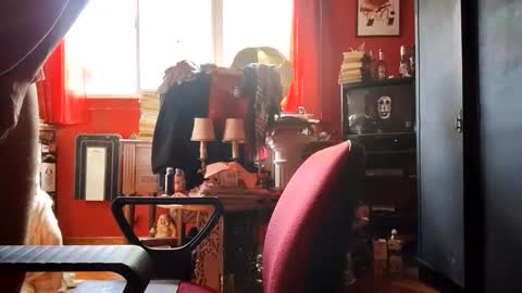 david_argentina online show from October 28, 2025, 7:38 pm