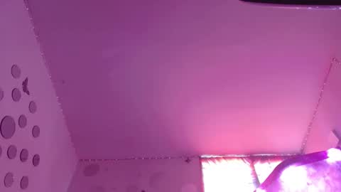 David Fox online show from November 12, 2025, 7:13 pm