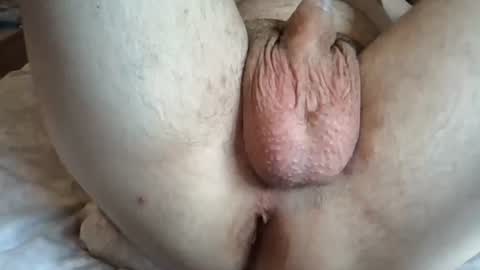 davidassboy69 online show from June 18, 2026, 1:04 pm