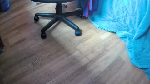 Hugo online show from February 12, 2025, 11:51 am