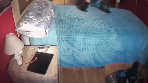 Hugo online show from February 20, 2025, 11:09 am