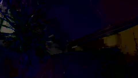 dayblue online show from March 1, 2026, 9:33 am