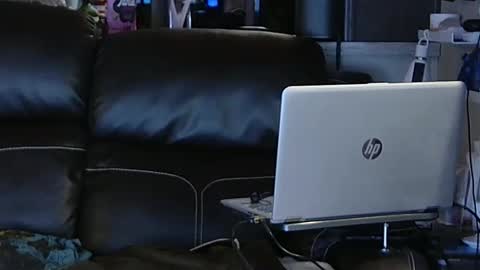 want girl to play with me online show from February 6, 2025, 11:48 pm