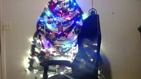 DEBBIE online show from December 18, 2024, 1:23 pm