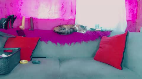 deboragill online show from March 13, 2026, 10:05 pm