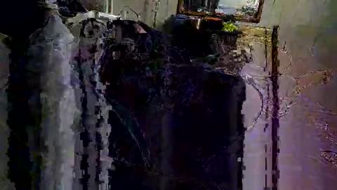 decoyx5o5 online show from February 6, 2025, 6:40 am