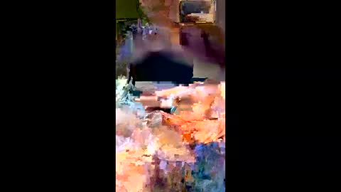 deeluey online show from March 9, 2026, 3:54 am
