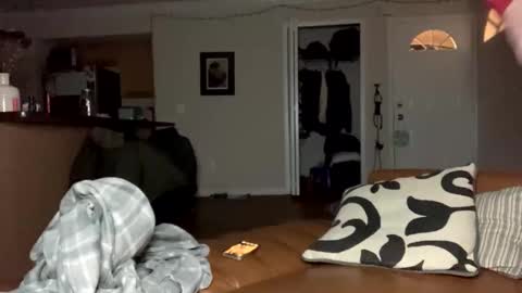  more content and goodies online show from December 29, 2024, 11:18 am