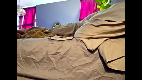 definitelymasterbating online show from March 17, 2026, 2:42 pm