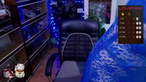 Delicacat online show from June 26, 2026, 10:08 am