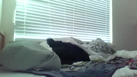 Snapshot of delightfuldark chatting on February 15, 2025, 11:47 pm delightfuldark online show from February 15, 2025, 11:47 pm