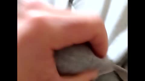 deliv_shopi online show from January 8, 2026, 10:39 am