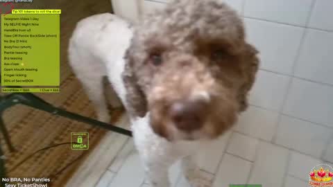 Yana online show from April 14, 2026, 5:30 pm