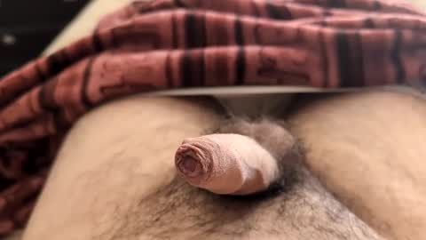 Snapshot of denis647 chatting on February 5, 2025, 2:26 pm LilRoach online show from February 5, 2025, 2:26 pm