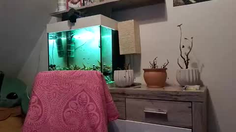 Snapshot of denise_brad chatting on February 3, 2026, 5:07 pm Denise and Brad online show from February 3, 2026, 5:07 pm