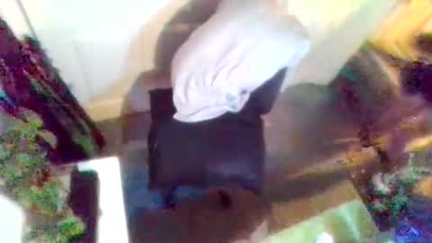 denveversbb online show from April 3, 2026, 8:51 pm