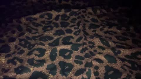 derek829099 online show from October 9, 2025, 7:06 am