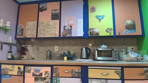 desimonroe online show from January 3, 2025, 12:41 pm