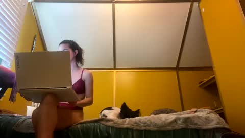 desimonroe online show from January 27, 2025, 6:20 pm