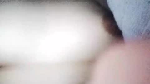 desurvv0999 online show from November 19, 2025, 8:03 am