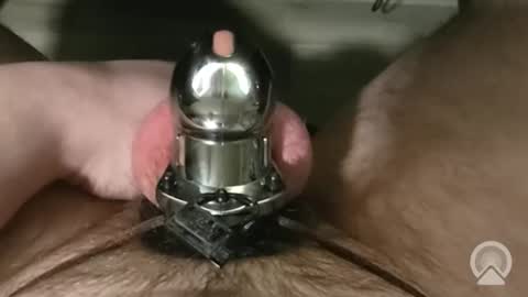 devin255395 online show from December 14, 2025, 4:07 am