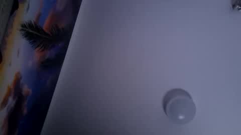 Snapshot of dgesika254182 chatting on January 28, 2025, 9:50 pm dgesika254182 online show from January 28, 2025, 9:50 pm