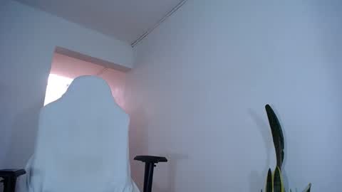 MaSSimo online show from January 17, 2025, 3:00 pm