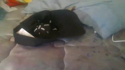 Snapshot of diamondeye112 chatting on December 23, 2025, 5:05 am diamondeye112 online show from December 23, 2025, 5:05 am