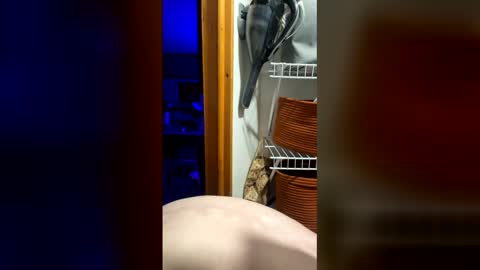 DickTaterish online show from May 5, 2026, 6:43 am