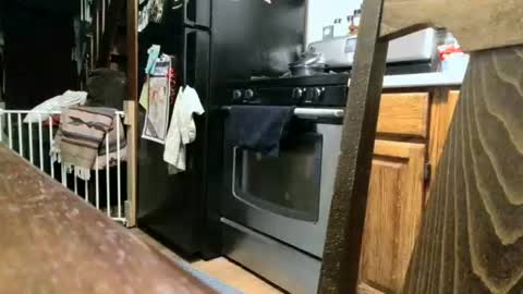 dickwack4u online show from September 13, 2025, 1:27 am