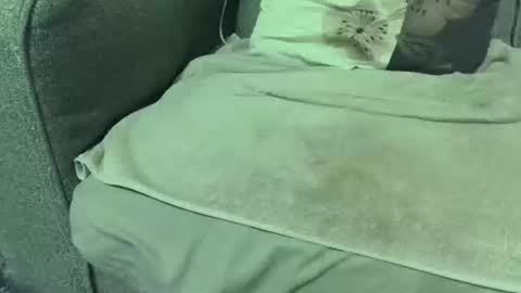 Snapshot of dickwack4u chatting on January 10, 2026, 2:24 am dickwack4u online show from January 10, 2026, 2:24 am