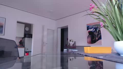 Snapshot of didiegal chatting on November 16, 2025, 10:43 am squirtcock online show from November 16, 2025, 10:43 am