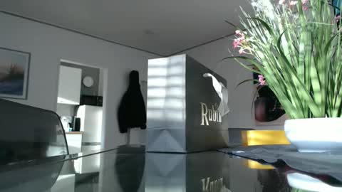 Snapshot of didiegal1 chatting on December 21, 2025, 1:29 pm squirtcock online show from December 21, 2025, 1:29 pm