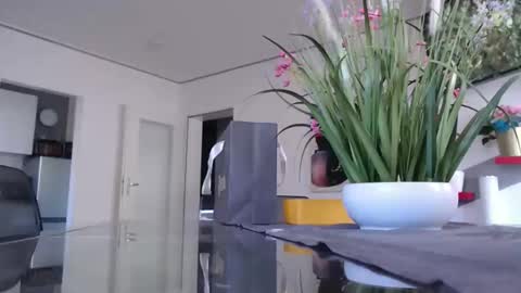 Snapshot of didiegal1 chatting on January 11, 2026, 10:42 am squirtcock online show from January 11, 2026, 10:42 am