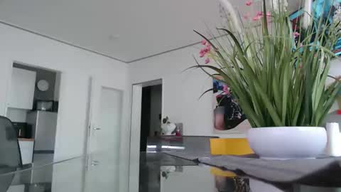 Snapshot of didiegal1 chatting on February 16, 2026, 9:38 am squirtcock online show from February 16, 2026, 9:38 am