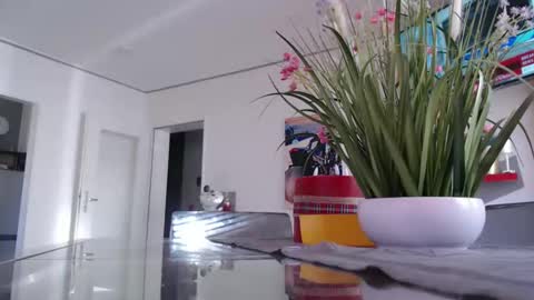 Snapshot of didiegal1 chatting on March 2, 2026, 9:16 am squirtcock online show from March 2, 2026, 9:16 am