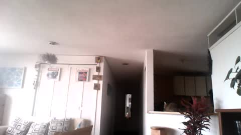 Snapshot of diego_incubo_ii chatting on July 15, 2026, 4:34 pm diego_incubo_ii online show from July 15, 2026, 4:34 pm