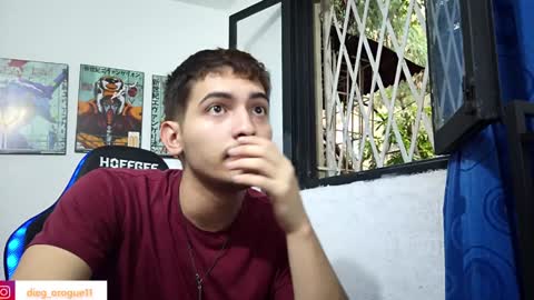 Snapshot of diegorogue_ chatting on February 8, 2025, 9:15 pm Diego rogue online show from February 8, 2025, 9:15 pm