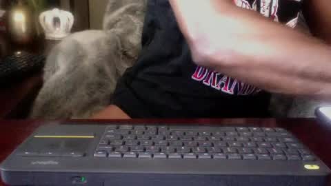 The Digital Pimp.... online show from June 27, 2026, 12:22 pm