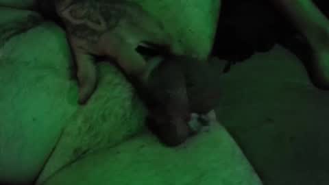 Snapshot of dikkdixon chatting on February 28, 2026, 3:57 pm dikkdixon online show from February 28, 2026, 3:57 pm