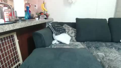 Snapshot of dimepiecexxx chatting on December 23, 2024, 8:33 am Sofie online show from December 23, 2024, 8:33 am