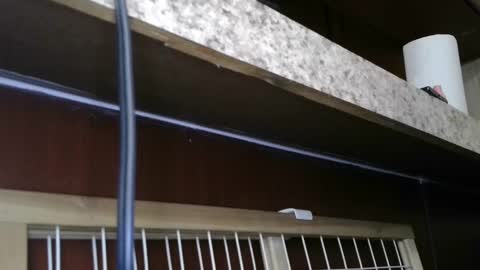 Snapshot of dimepiecexxx chatting on February 28, 2025, 5:48 pm Sofie online show from February 28, 2025, 5:48 pm