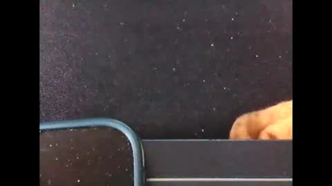 Snapshot of diogominer2 chatting on November 24, 2025, 12:27 pm diogominer2 online show from November 24, 2025, 12:27 pm