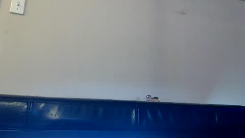 Daisy Wylde online show from November 14, 2025, 1:32 pm