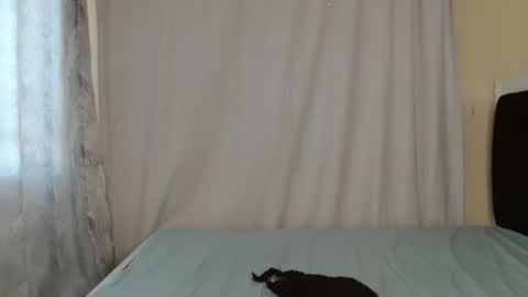 Snapshot of disah_002 chatting on May 28, 2026, 11:18 am disah_002 online show from May 28, 2026, 11:18 am