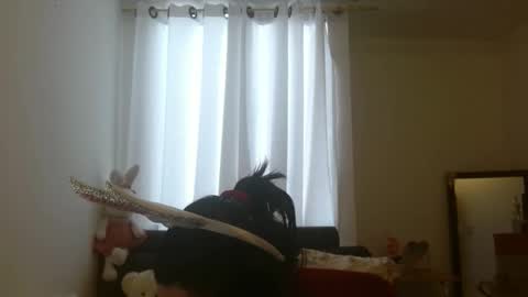 disneey2888 online show from November 12, 2025, 8:19 pm