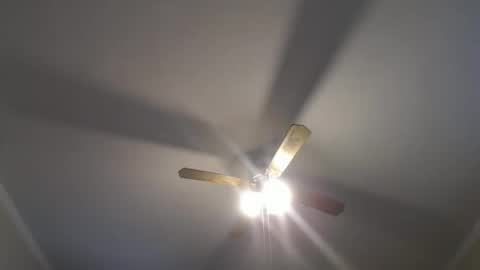 Your Best Worst Nightmare online show from December 16, 2024, 8:37 pm