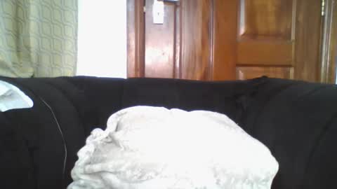 Snapshot of dixie_driver chatting on September 30, 2025, 9:09 pm dixie_driver online show from September 30, 2025, 9:09 pm
